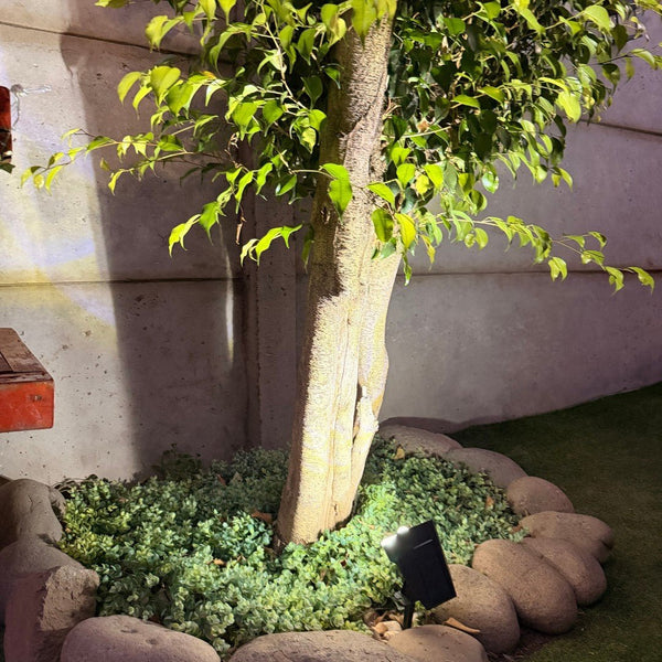 Estaca de Luz Solar con Sensor de Movimiento - Luz Fría - Disponible en Dreamy Home!