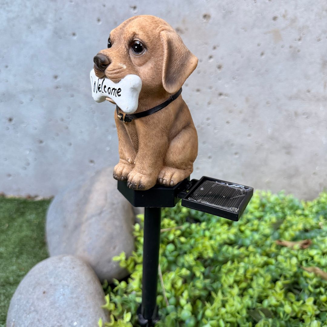 Estaca de Perro Solar - Luz Cálida / IP65 - Disponible en Dreamy Home!