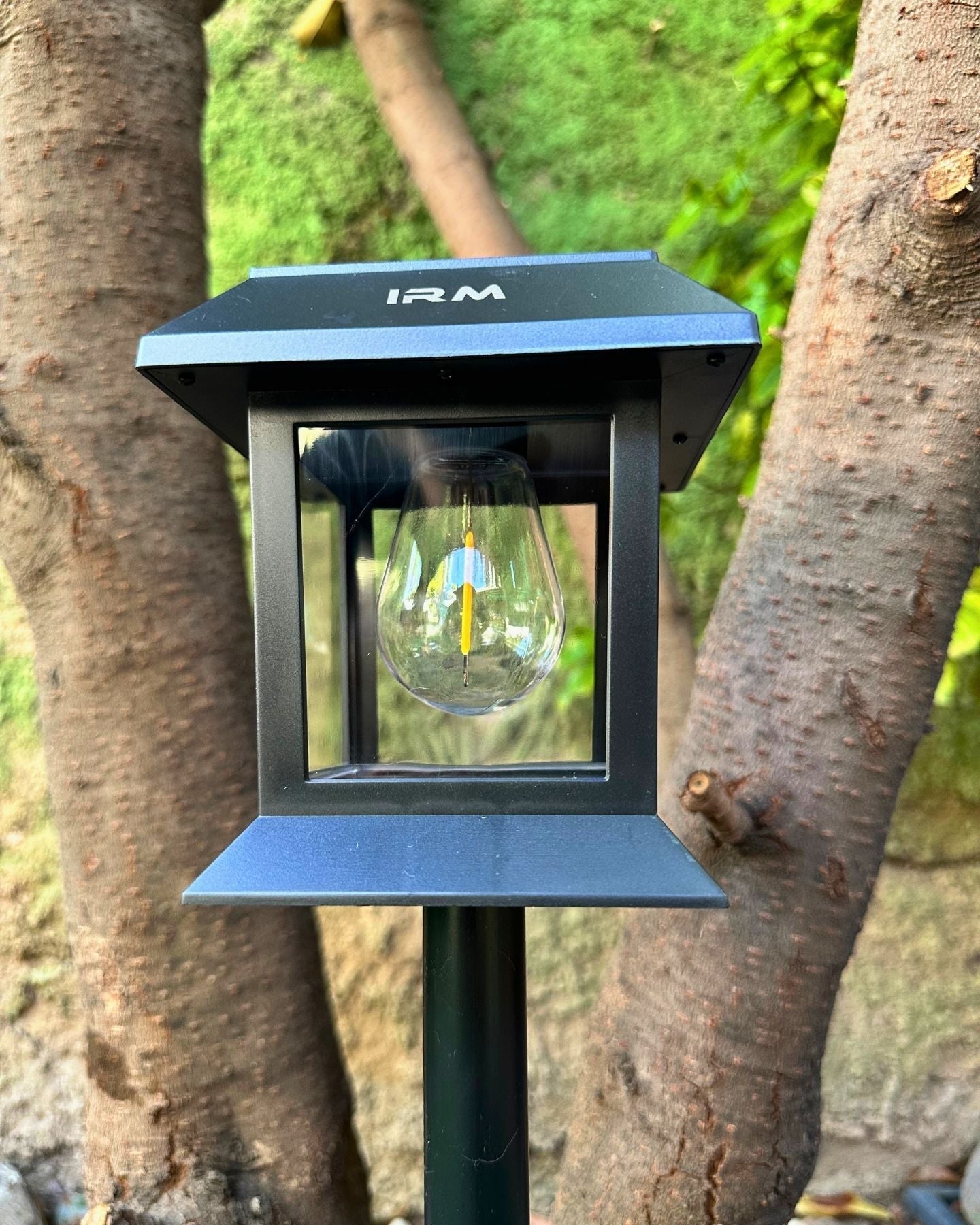 Farol Ampolleta Solar - 1 Unidad IP65 Luz Cálida - Dreamy Home
