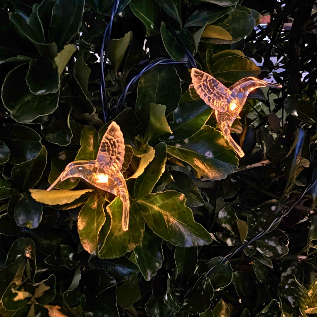 Guirnalda de Colibrís Solares - Largo 5 m / Luz Cálida o Multicolor / IP65 - Disponible en Dreamy Home!