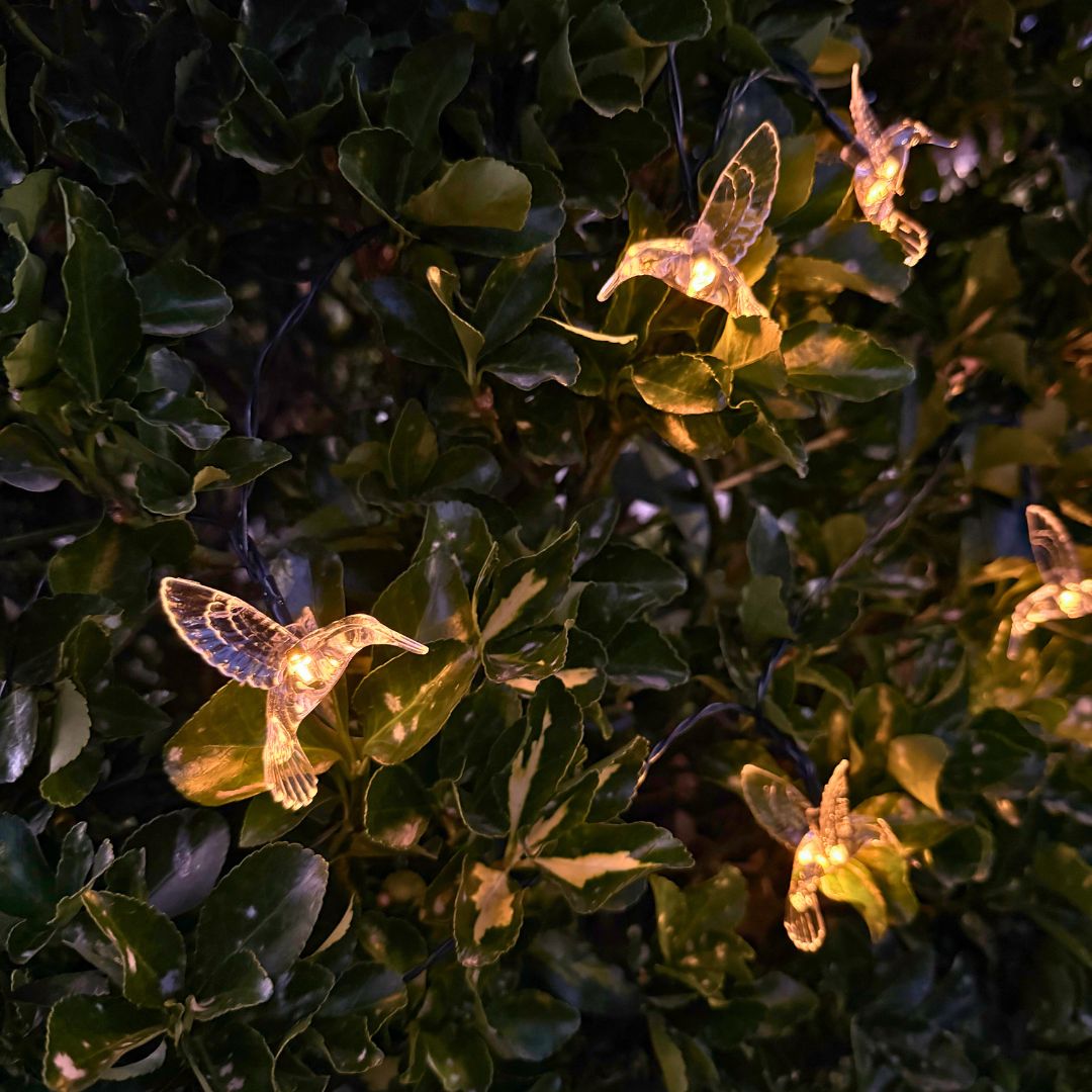 Guirnalda de Colibrís Solares - Largo 5 m / Luz Cálida o Multicolor / IP65 - Disponible en Dreamy Home!