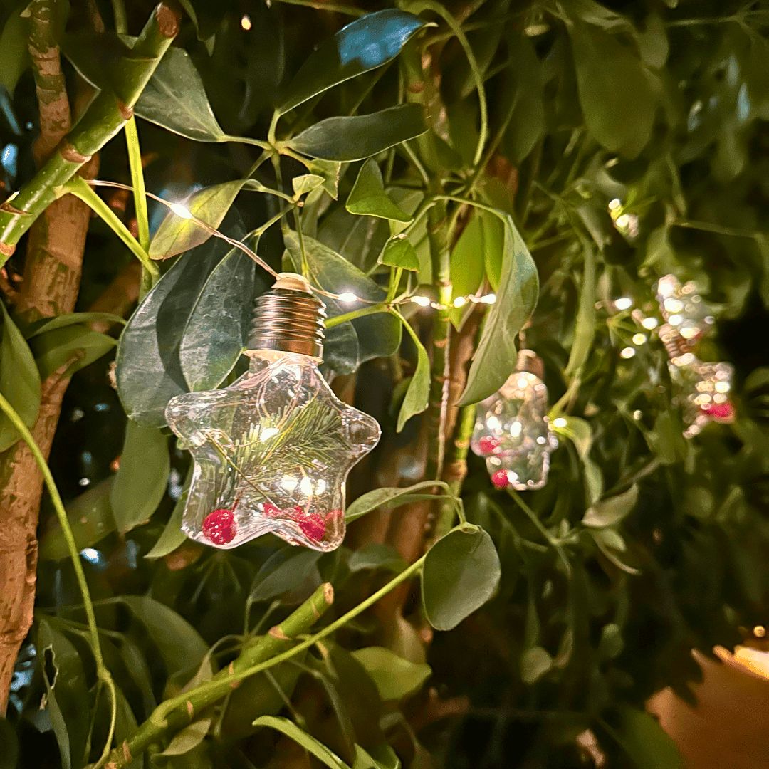 Guirnalda Estrellas Navideñas Solar - IP65 Luz Cálida Largo 5 m - Disponible en Dreamy Home!