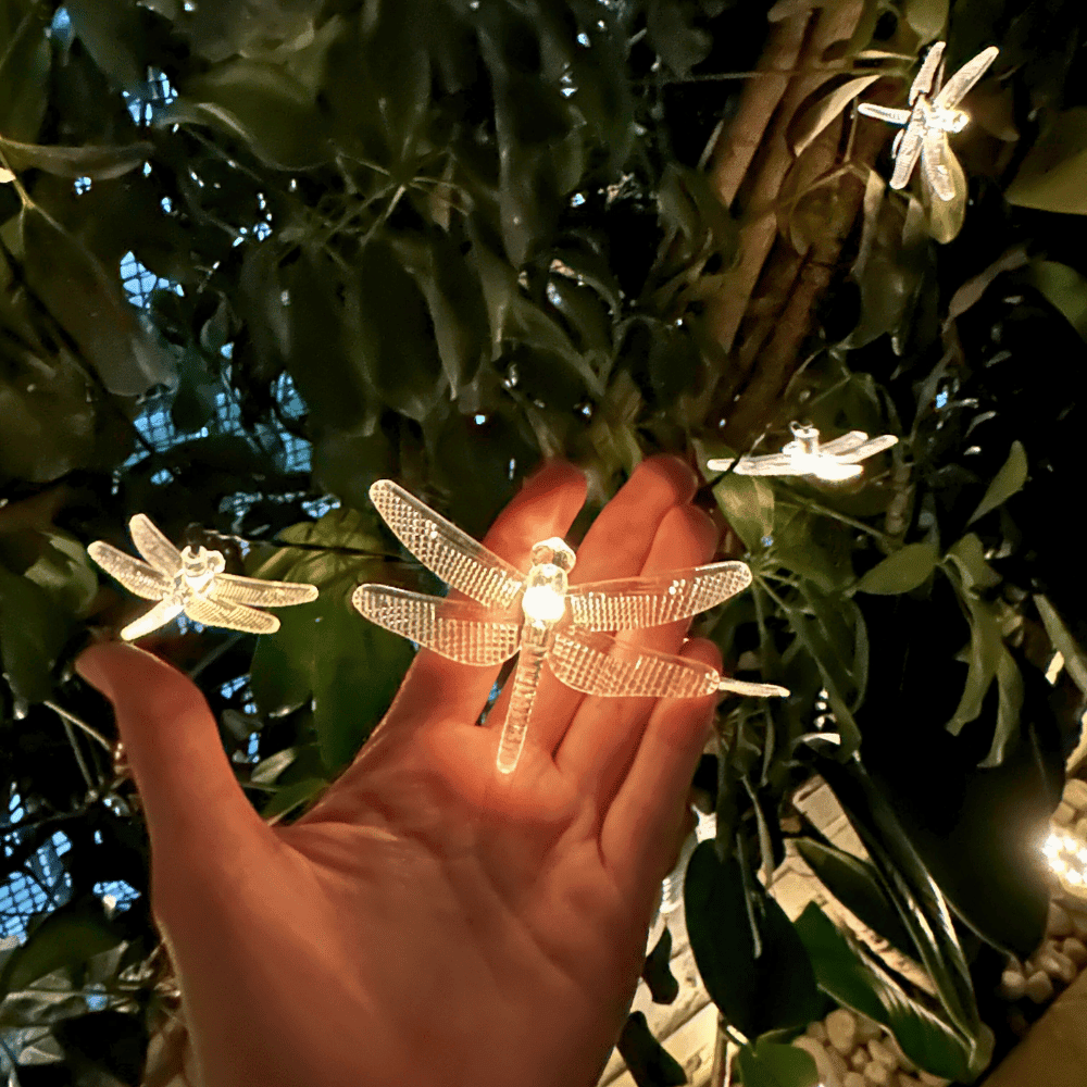 Jardín Solar Decorado y Listo - Disponible en Dreamy Home!