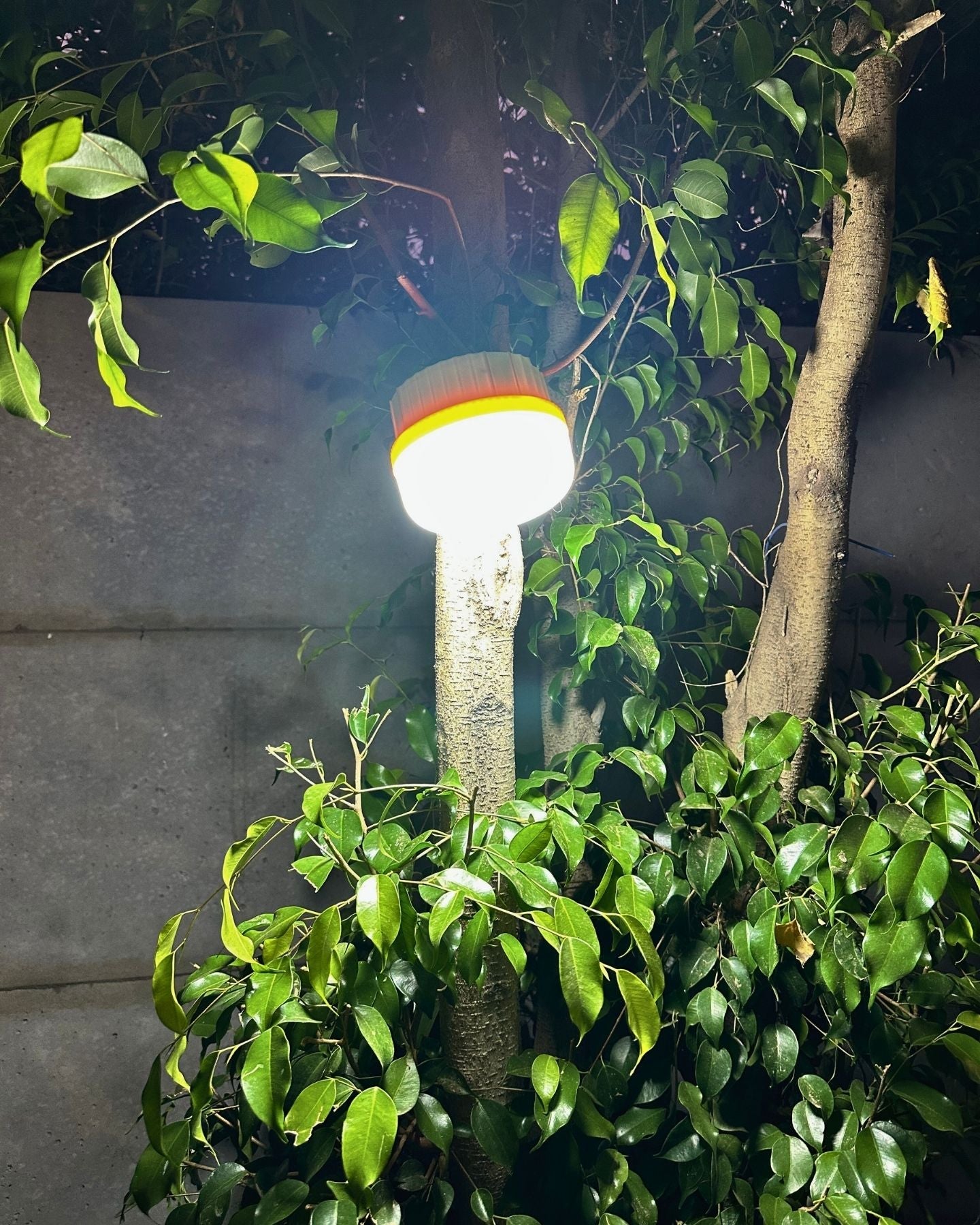 Lámpara FlashGuard Solar - Luz Fría IP65 - Dreamy Home