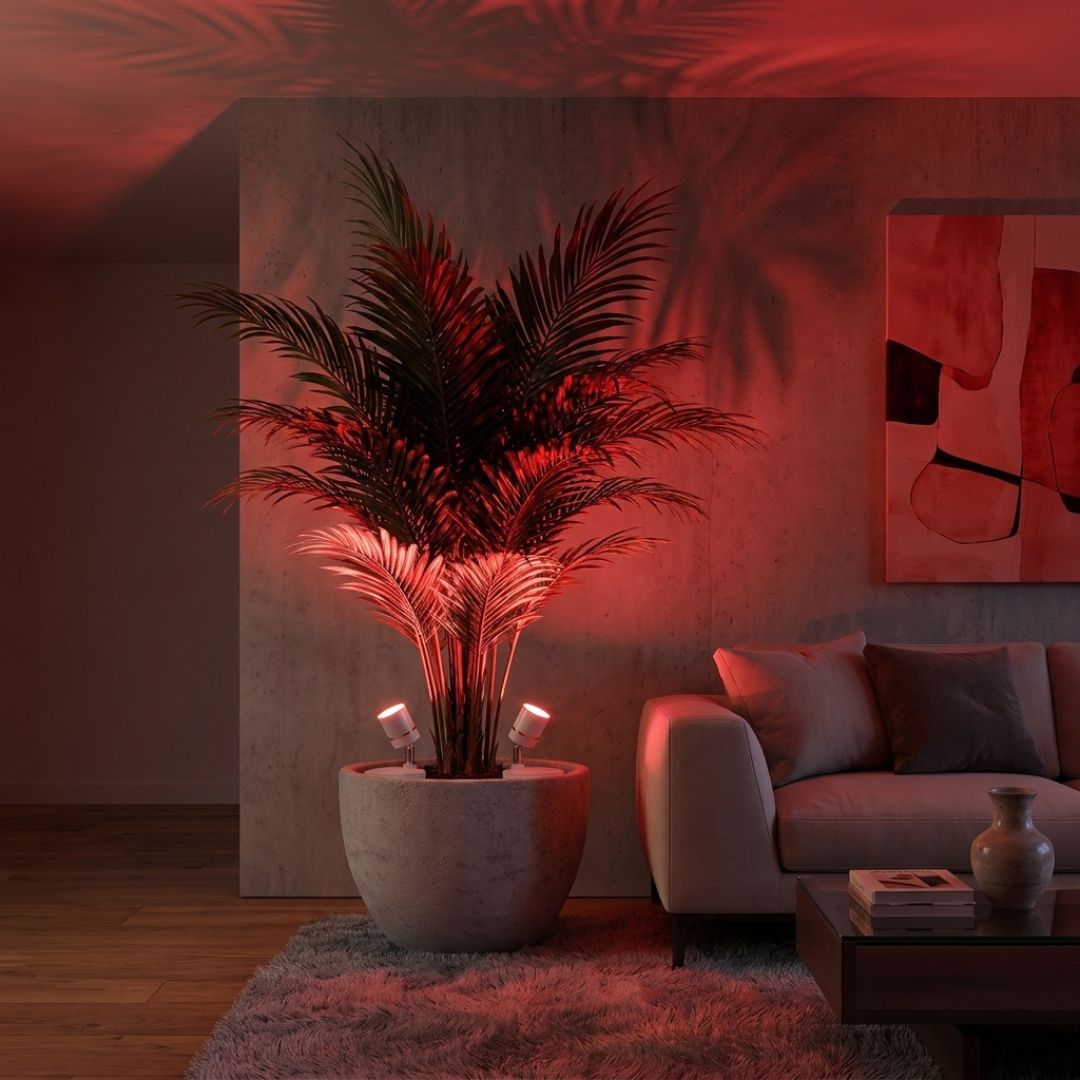 Pack 2 Focos LED Inalámbricos Orientables - 3 Pilas AA /Luz Blanca y Multicolor - Luces nocturnas e iluminación ambiente - Disponible en Dreamy Home!