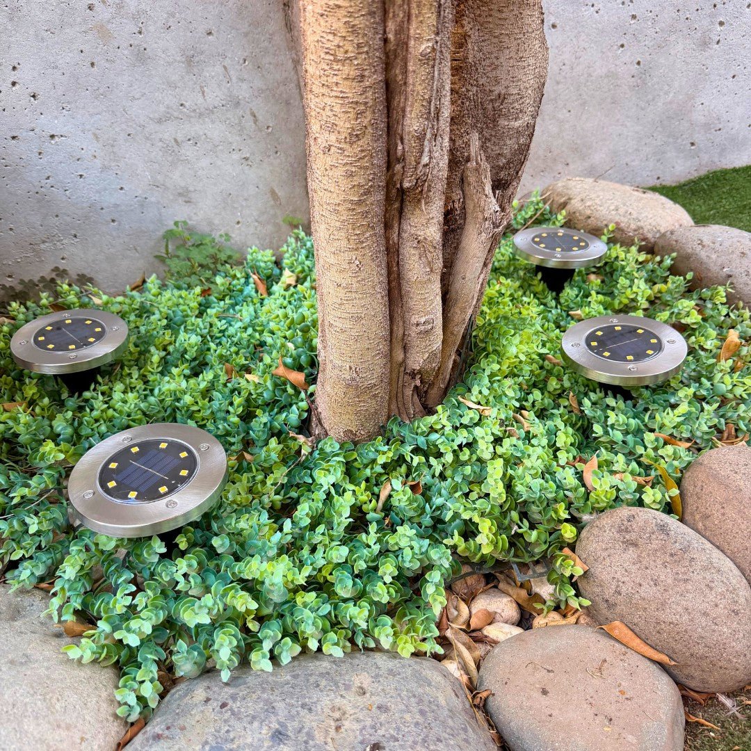 Set de 4 Estacas Acero Inoxidable Solar - Luz Cálida o Fría / IP65 - Disponible en Dreamy Home!