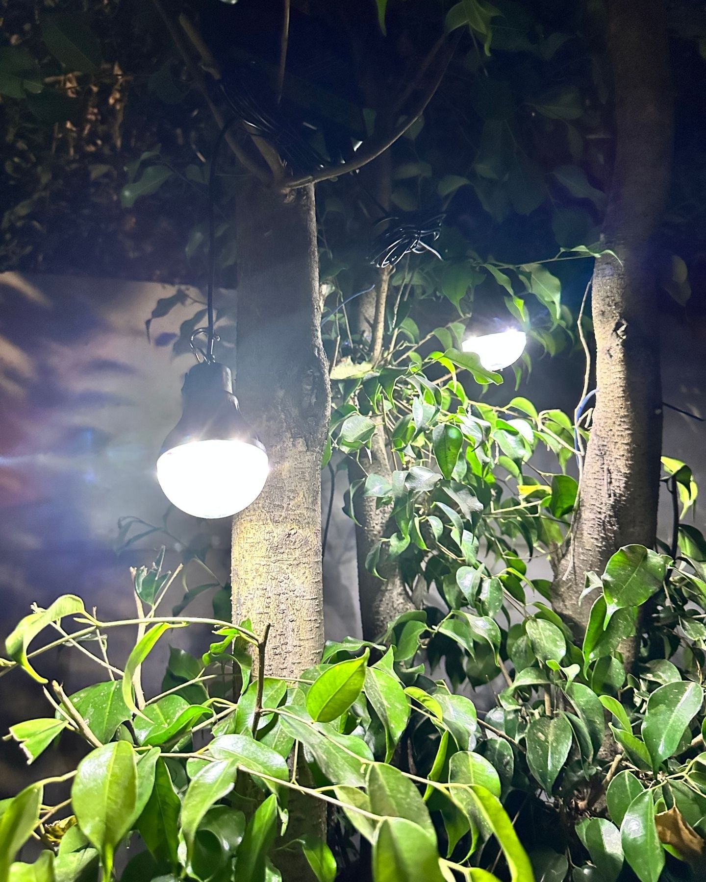 Sistema de Emergencia Solar EmergiMax - Luz Fría - Dreamy Home
