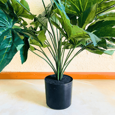 Árbol Artificial Aralia - Altura 80 cm-Dreamy Home
