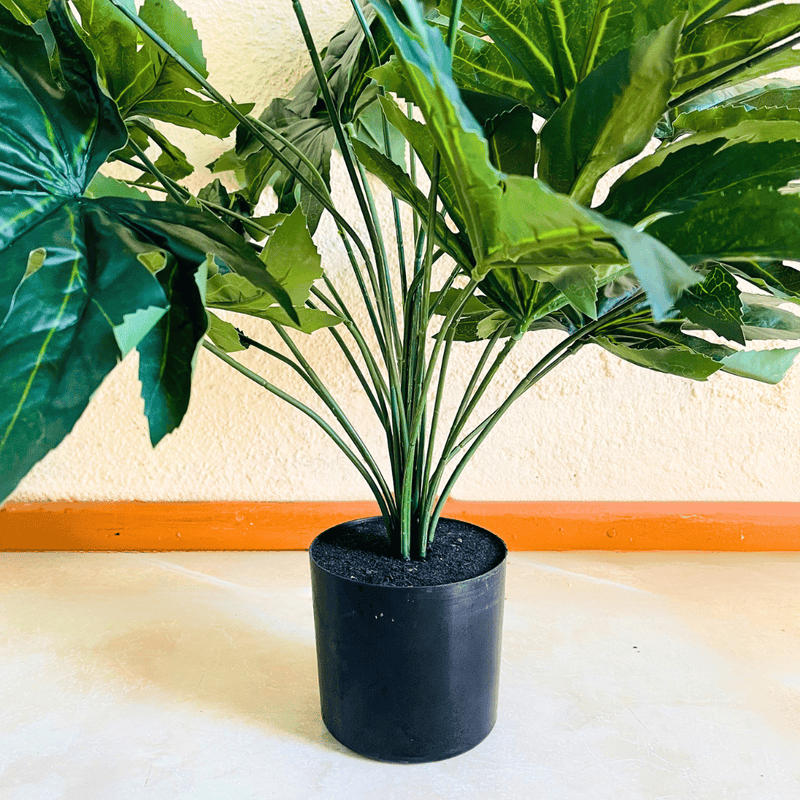 Árbol Artificial Aralia - Altura 80 cm-Dreamy Home