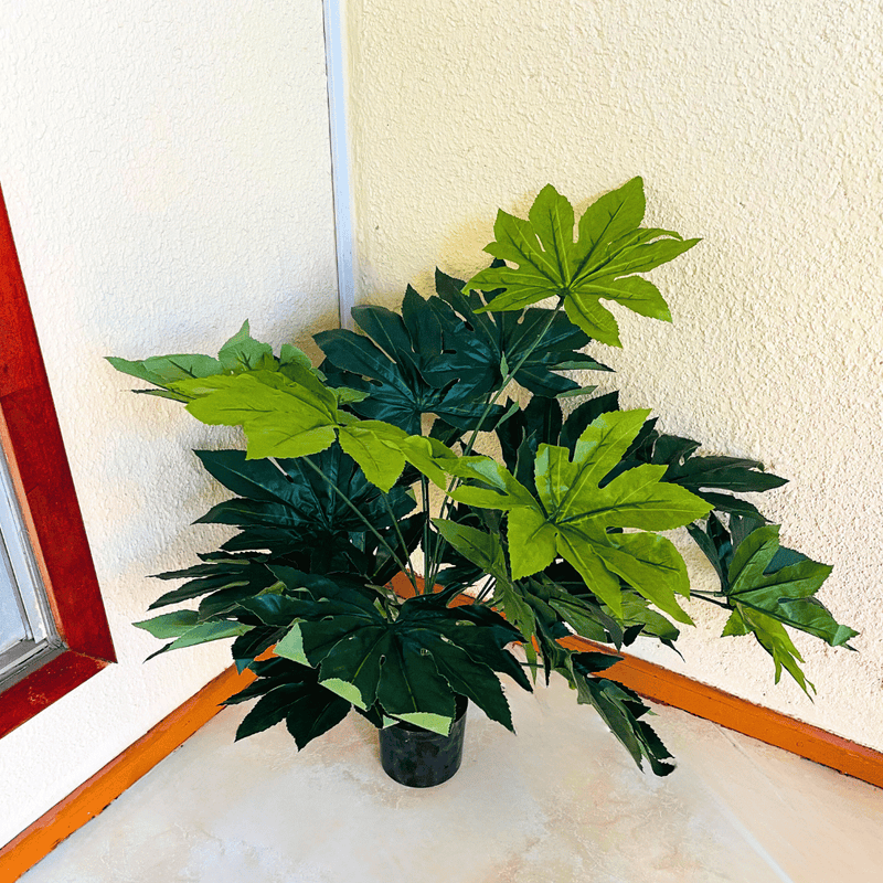 Árbol Artificial Aralia - Altura 80 cm-Dreamy Home