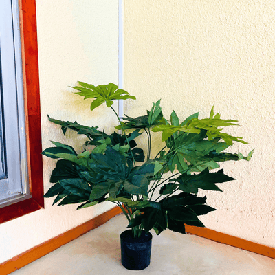 Árbol Artificial Aralia - Altura 80 cm-Dreamy Home