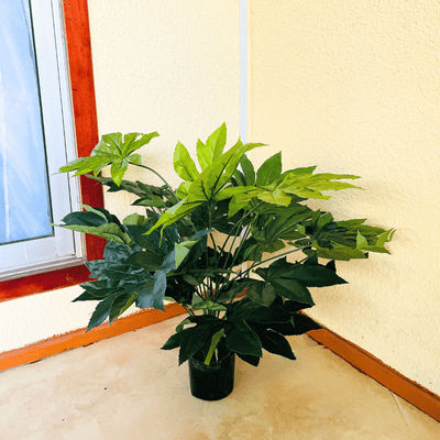 Árbol Artificial Aralia - Altura 80 cm-Dreamy Home