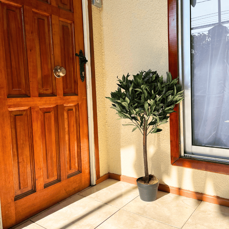 Árbol Artificial Canelo - Altura 90 cm-Dreamy Home