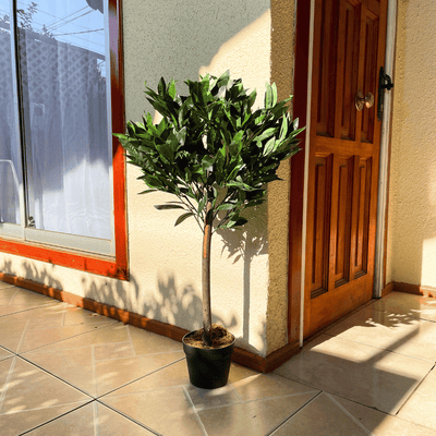 Árbol Artificial Canelo - Altura 90 cm-Dreamy Home