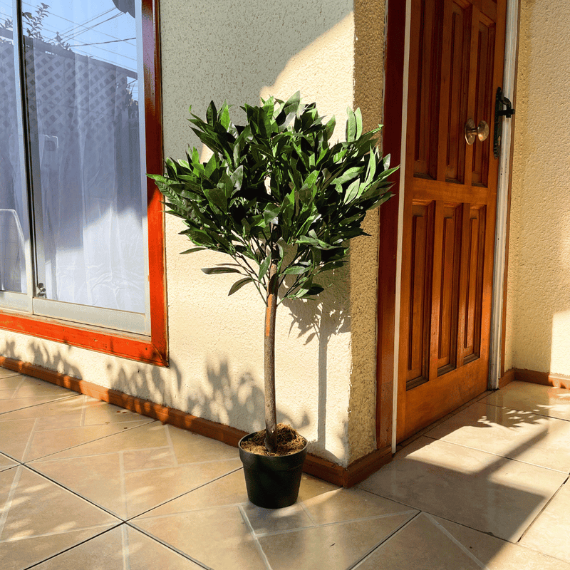 Árbol Artificial Canelo - Altura 90 cm-Dreamy Home