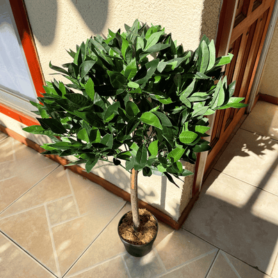Árbol Artificial Canelo - Altura 90 cm-Dreamy Home