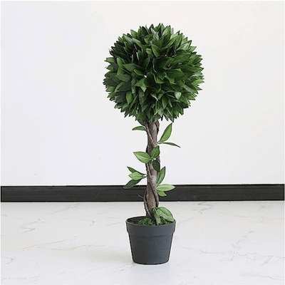 Árbol Artificial Canelo Redondeado - Altura 70 cm-Dreamy Home