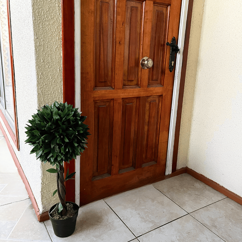 Árbol Artificial Canelo Redondeado - Altura 70 cm-Dreamy Home