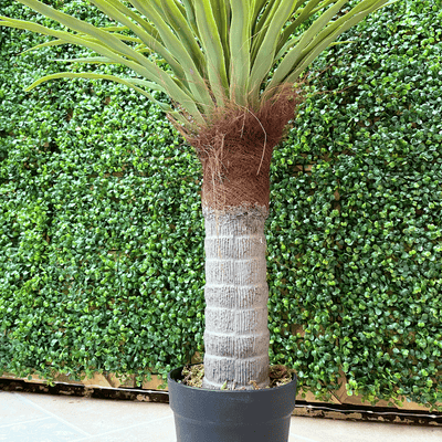 Árbol Artificial Dracaena - Altura 1 m-Dreamy Home
