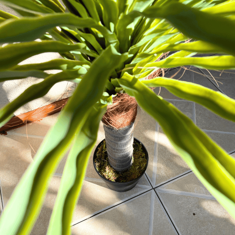 Árbol Artificial Dracaena - Altura 1 m-Dreamy Home
