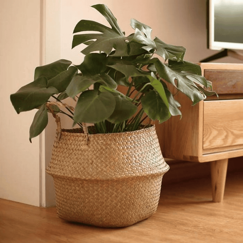 Canasto Multiuso Artesanal - Extensible-Dreamy Home