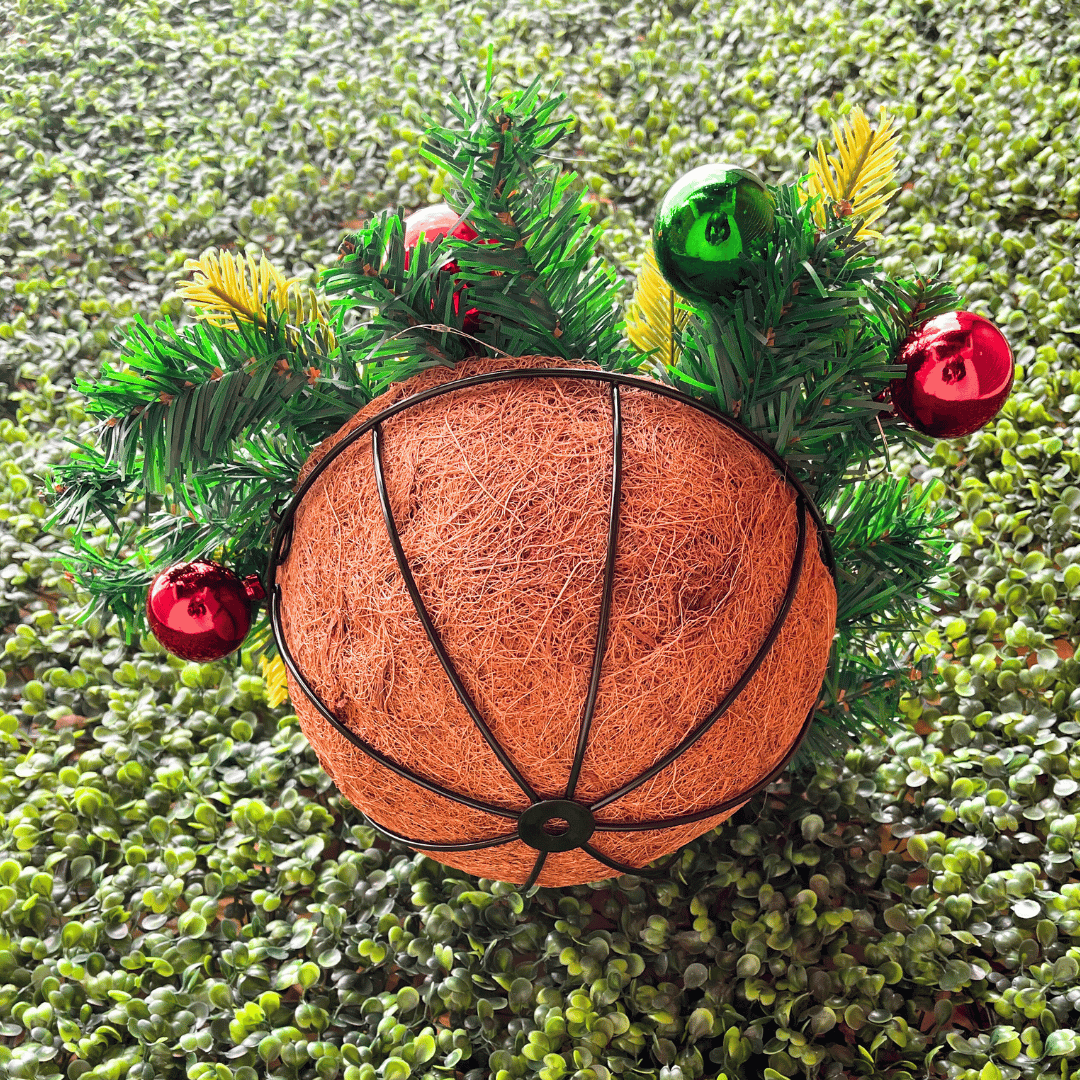 Colgante Navideño con Luces Hada - Luz Cálida - Disponible en Dreamy Home!