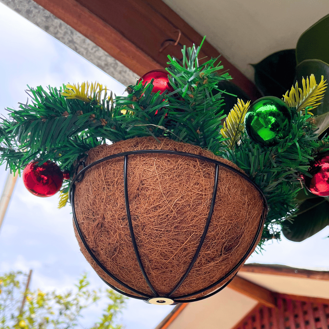 Colgante Navideño con Luces Hada - Luz Cálida - Disponible en Dreamy Home!