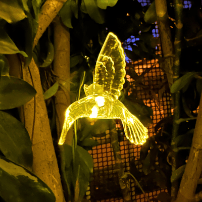 Colibrís Solares - IP65 Luz Cálida/Colores Largo 5 m-Dreamy Home