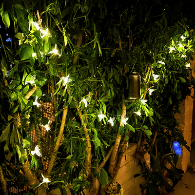 Colibrís Solares - IP65 Luz Cálida/Colores Largo 5 m-Dreamy Home
