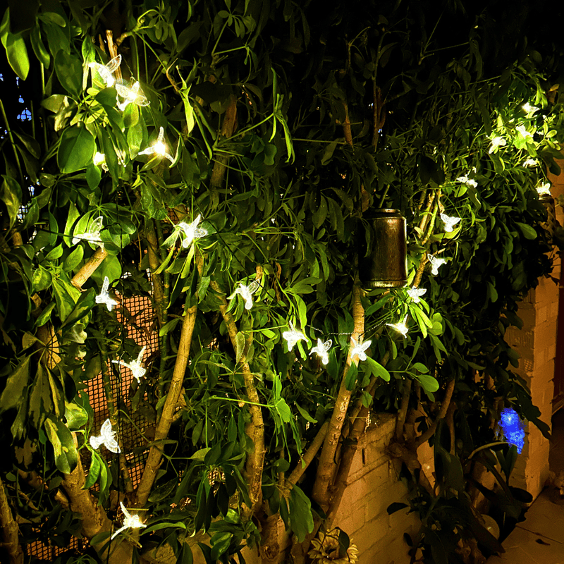 Colibrís Solares - IP65 Luz Cálida/Colores Largo 5 m-Dreamy Home