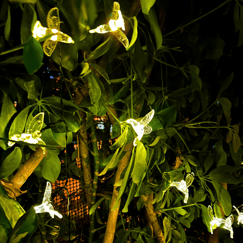 Colibrís Solares - IP65 Luz Cálida/Colores Largo 5 m-Dreamy Home