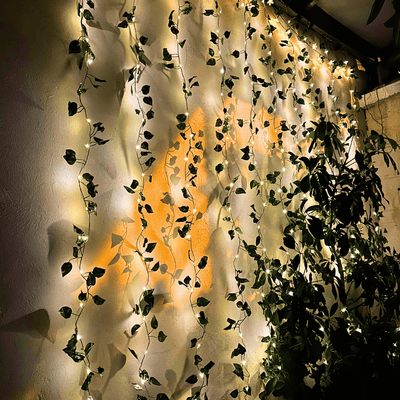 Cortina Enredadera de Hojas Solar - Luz Cálida 2x2 m o 3x3 m-Dreamy Home