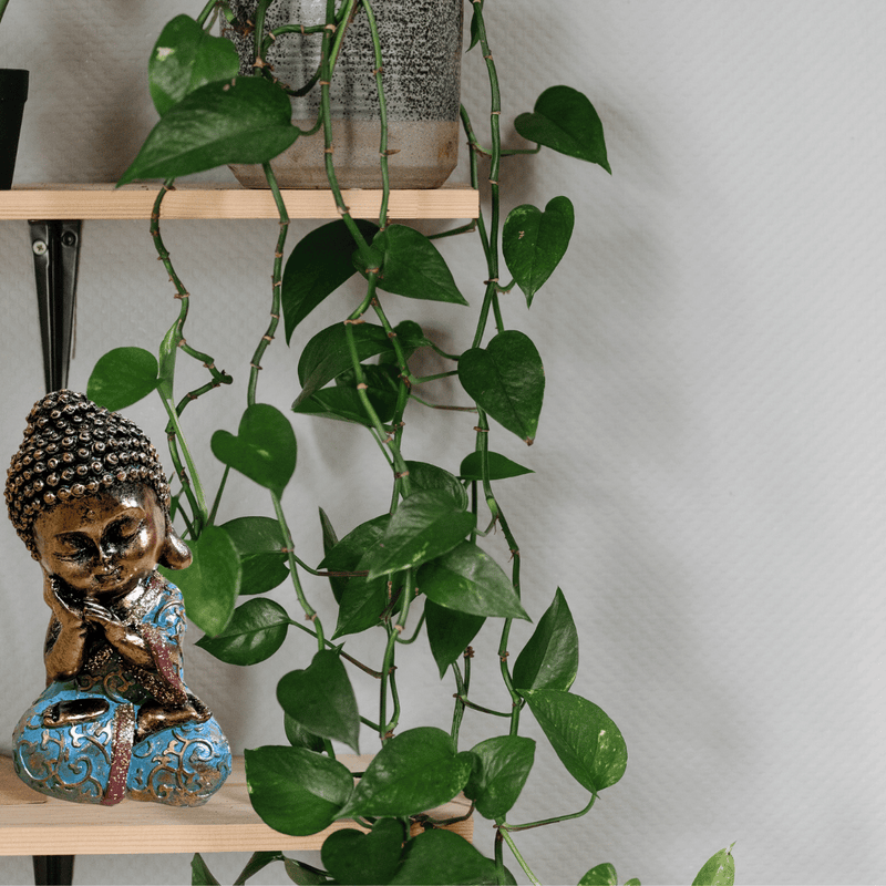 Escultura Bebé Buda Pequeño - 12 x 6 cm-Dreamy Home