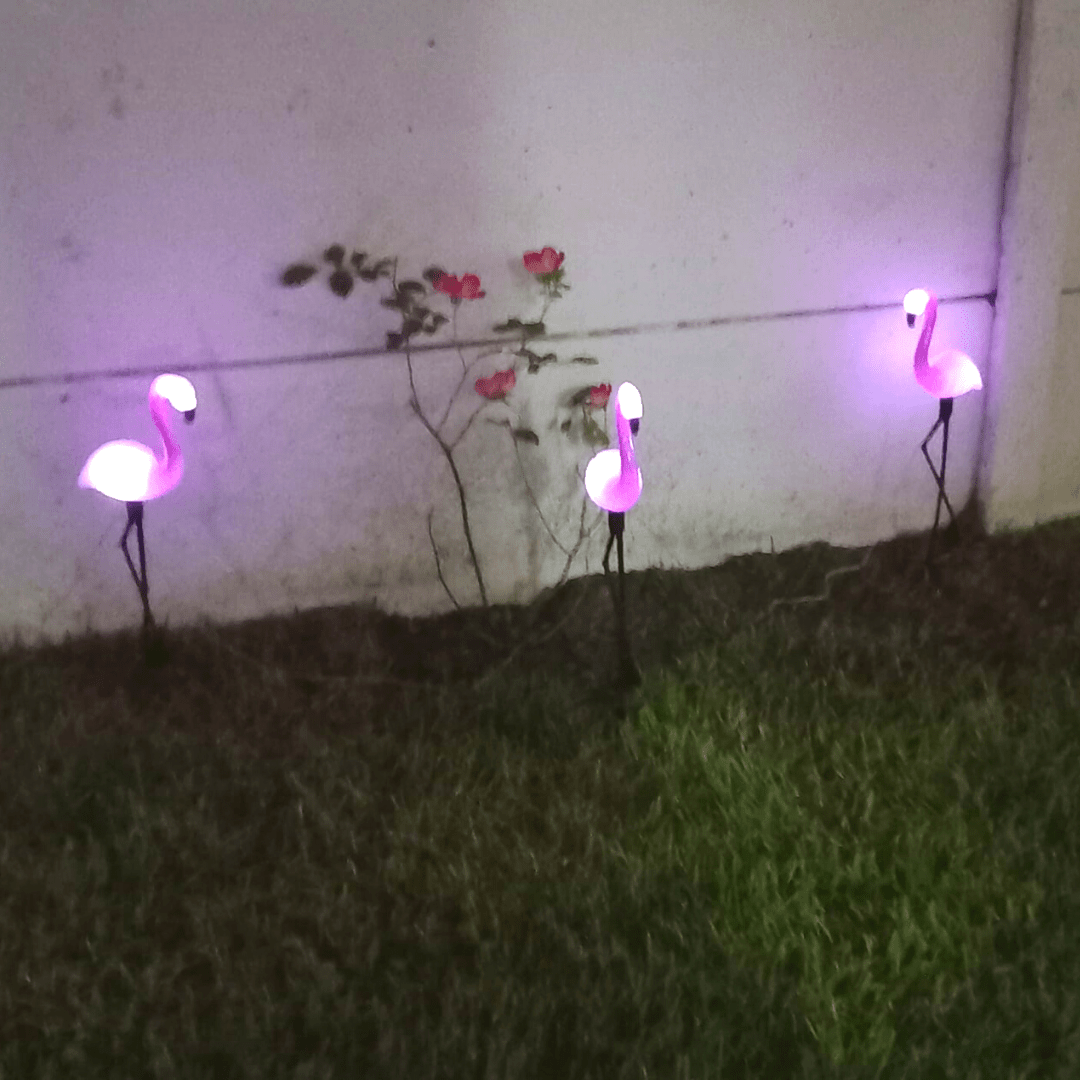 Flamencos Solares - 3 Unidades IP65 Luz Cálida-Dreamy Home
