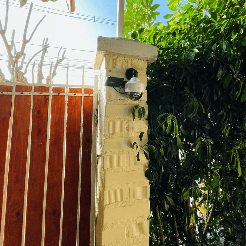Foco Cámara de Vigilancia 360° Solar - Luz Fría IP65-Dreamy Home