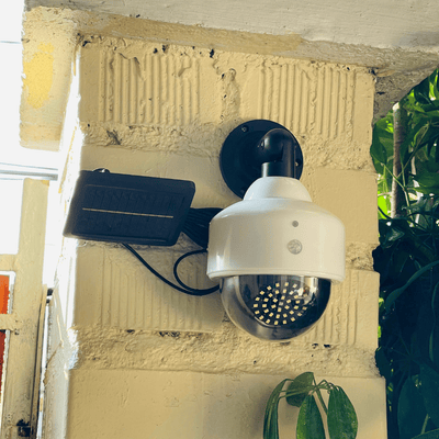 Foco Cámara de Vigilancia 360° Solar - Luz Fría IP65-Dreamy Home