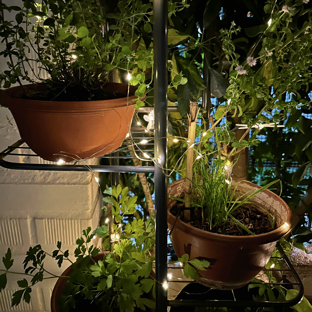 Guirnalda de Luces Hada Solar - 10/20/30 m / Luz Cálida / IP65 - Disponible en Dreamy Home!