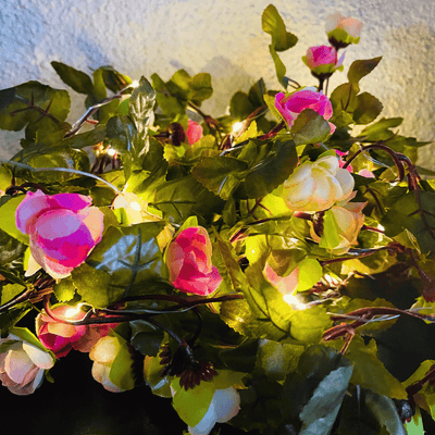 Guirnalda de Rosas Solares - IP65 Luz Cálida Largo 5 m-Dreamy Home