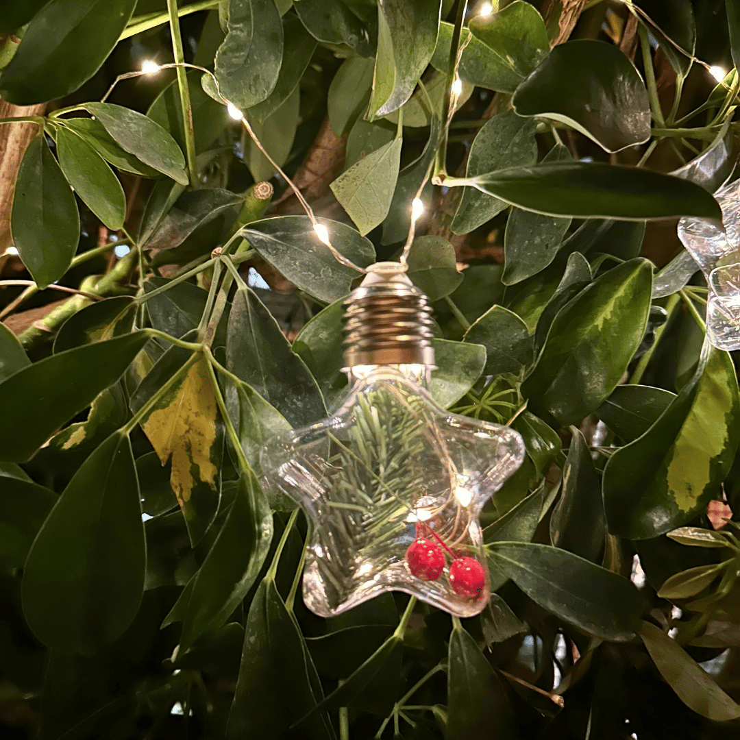 Guirnalda Estrellas Navideñas Solar - IP65 Luz Cálida Largo 5 m - Disponible en Dreamy Home!