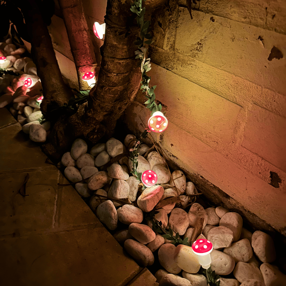 Luces de Hoja Diseño Honguito Solar- Luz Cálida 5 m-Dreamy Home