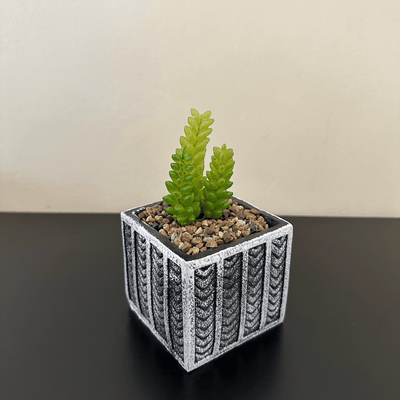 Maceta Cuadrada Negra - 14 x 8,5 x 8,5 cm-Dreamy Home