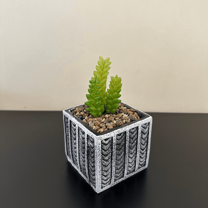 Maceta Cuadrada Negra - 14 x 8,5 x 8,5 cm-Dreamy Home
