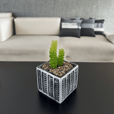 Maceta Cuadrada Negra - 14 x 8,5 x 8,5 cm-Dreamy Home
