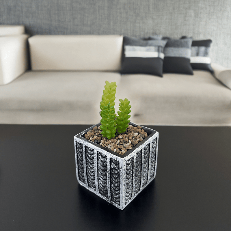 Maceta Cuadrada Negra - 14 x 8,5 x 8,5 cm-Dreamy Home