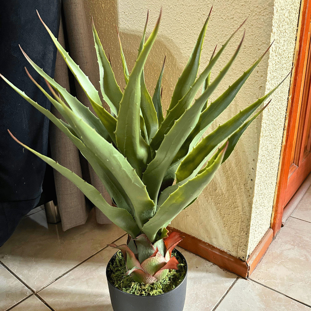 Planta Artificial Aloe Vera - Altura 65 cm-Dreamy Home