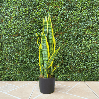 Planta Artificial Green Flame - Altura 57 cm-Dreamy Home