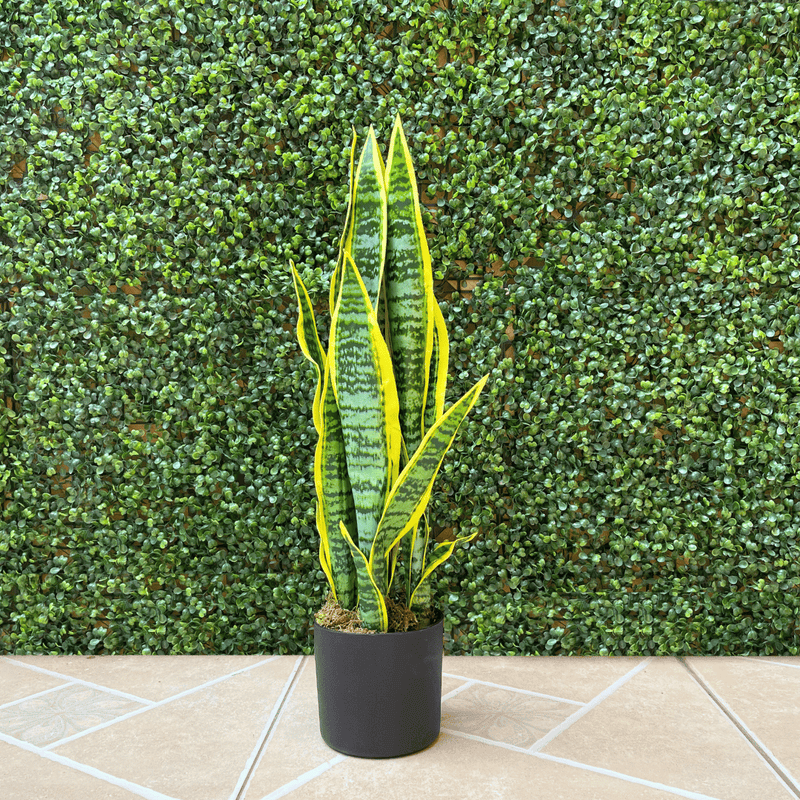 Planta Artificial Green Flame - Altura 57 cm-Dreamy Home