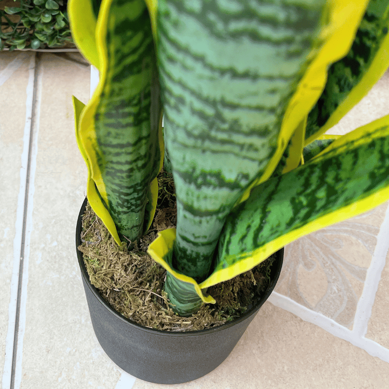 Planta Artificial Green Flame - Altura 57 cm-Dreamy Home