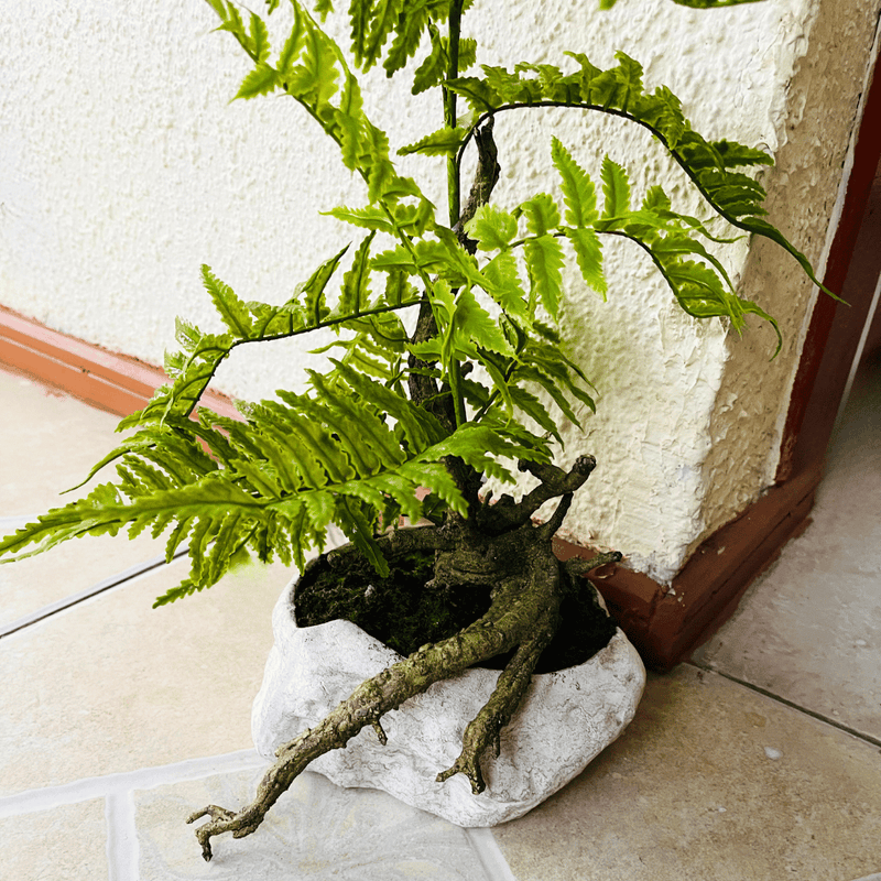 Planta Helecho Rizado - 17 x 50 cm-Dreamy Home