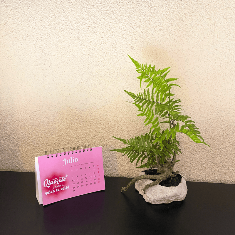 Planta Helecho Rizado - 17 x 50 cm-Dreamy Home